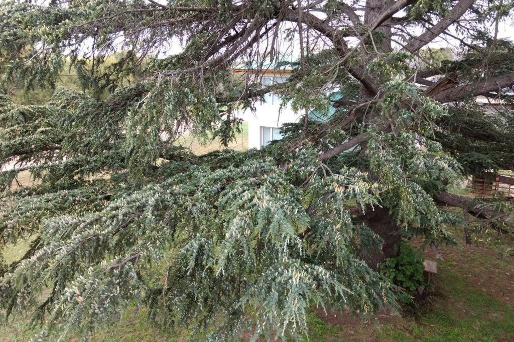 Maika La Peke Apartment Сиера де ла Вентана Екстериор снимка
